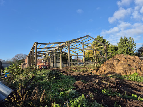 Bens Demolition Division job Greenhouse demolition in Newbury photo number 2